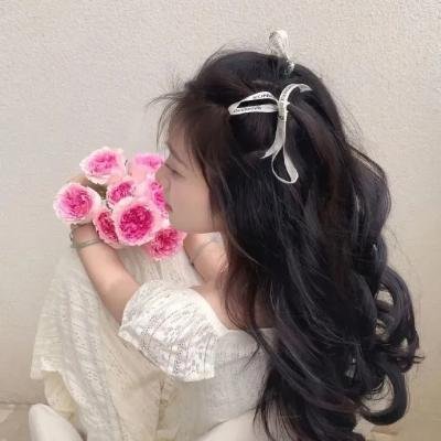 惩罚者海报